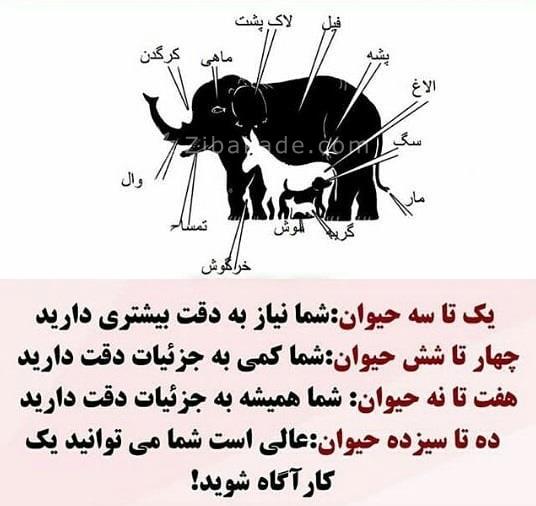 تست روانشناسی